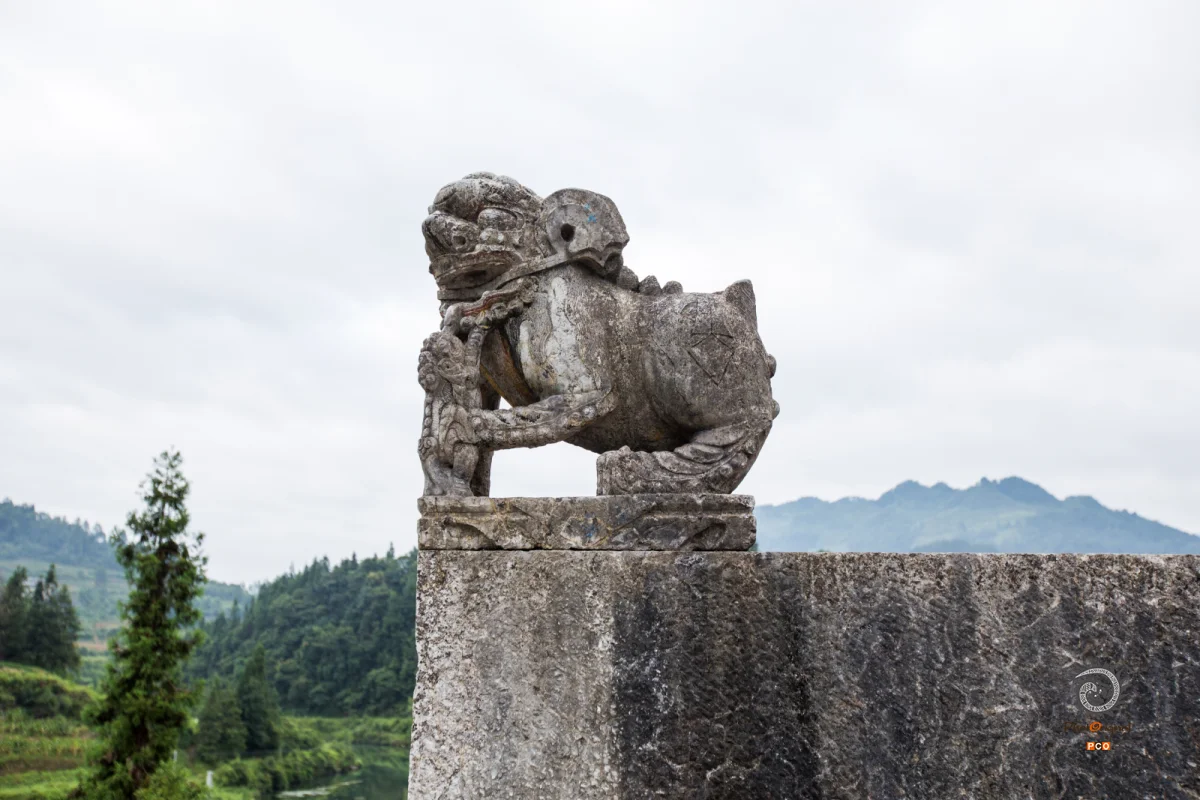2023多彩贵州·第十六届中国原生态国际摄影大展 · 阿照 的图集