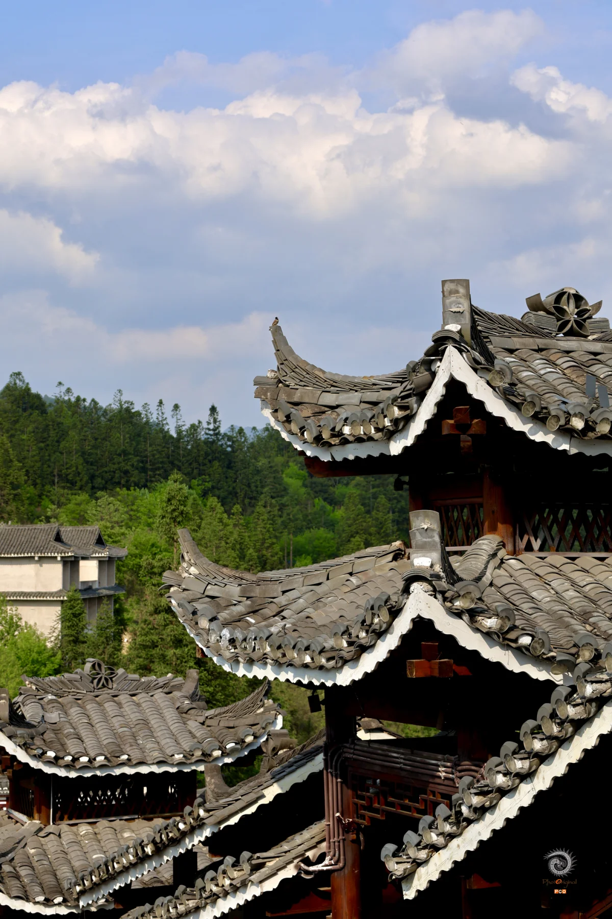 2025多彩贵州·第十八届中国原生态国际摄影大展 · 朱润彤 的图集