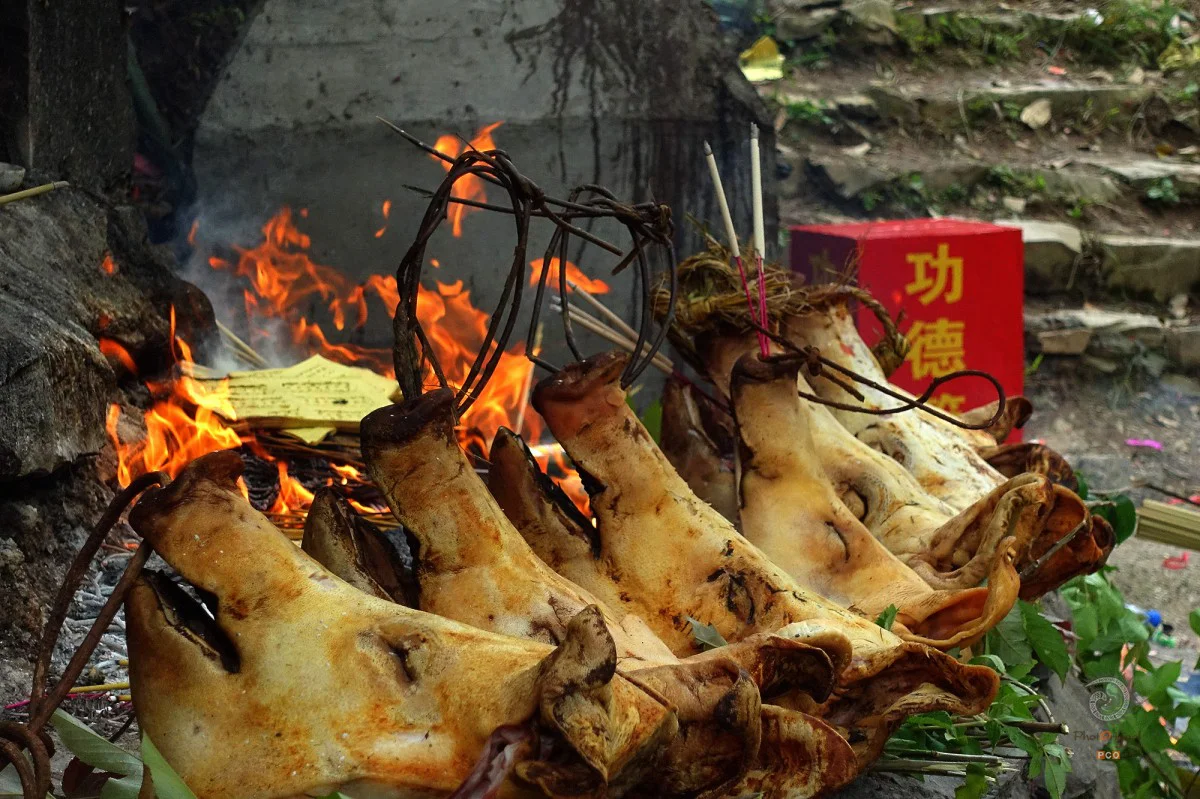 2020多彩贵州·第十三届 中国原生态国际摄影大展 · 老墙 的图集