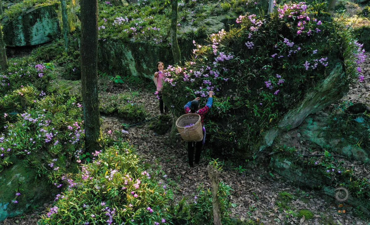 多彩贵州·第十四届中国原生态国际摄影大展 · 普照山 的图集