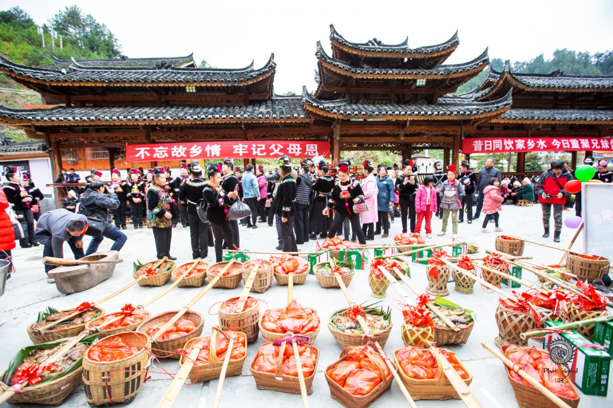 ​2024多彩贵州·第十七届中国原生态国际摄影大展 · 朱进 的图集