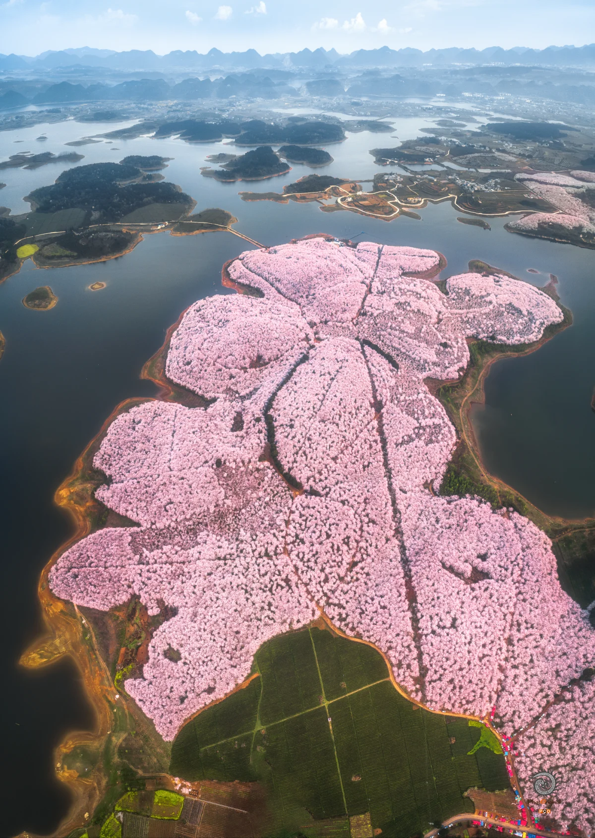 《樱花岛的全景图》