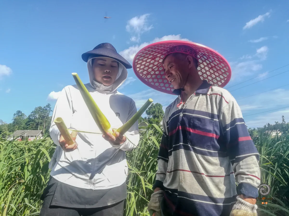 多彩贵州·第十四届中国原生态国际摄影大展 · 博一 的图集
