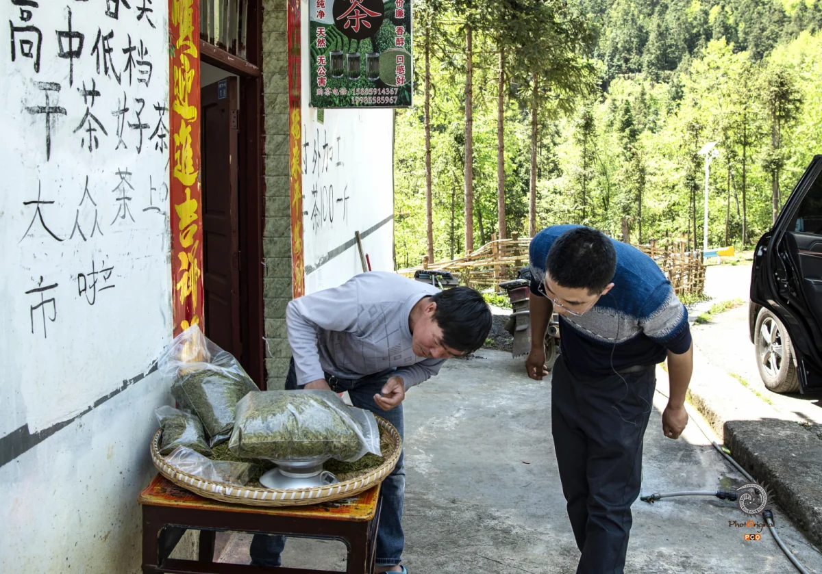 多彩贵州·第十四届中国原生态国际摄影大展 · 许斌 的图集