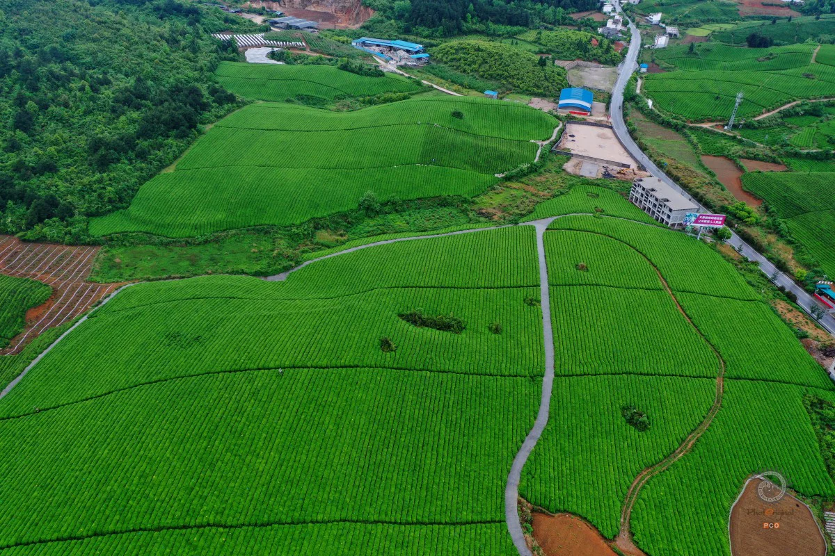 多彩贵州·第十四届中国原生态国际摄影大展 · 杨兴朝 的图集