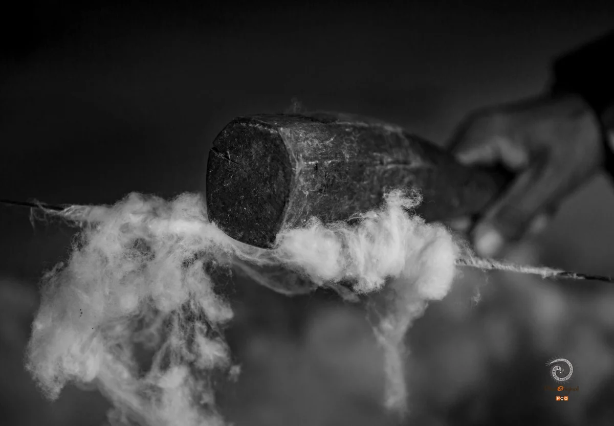 多彩贵州·第十四届中国原生态国际摄影大展 · 天涯客 的图集
