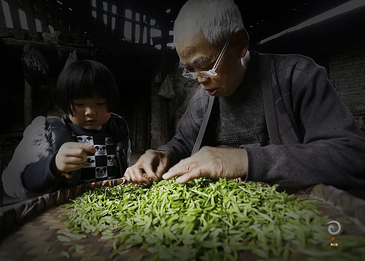 多彩贵州·第十四届中国原生态国际摄影大展 · 刘青娟 的图集