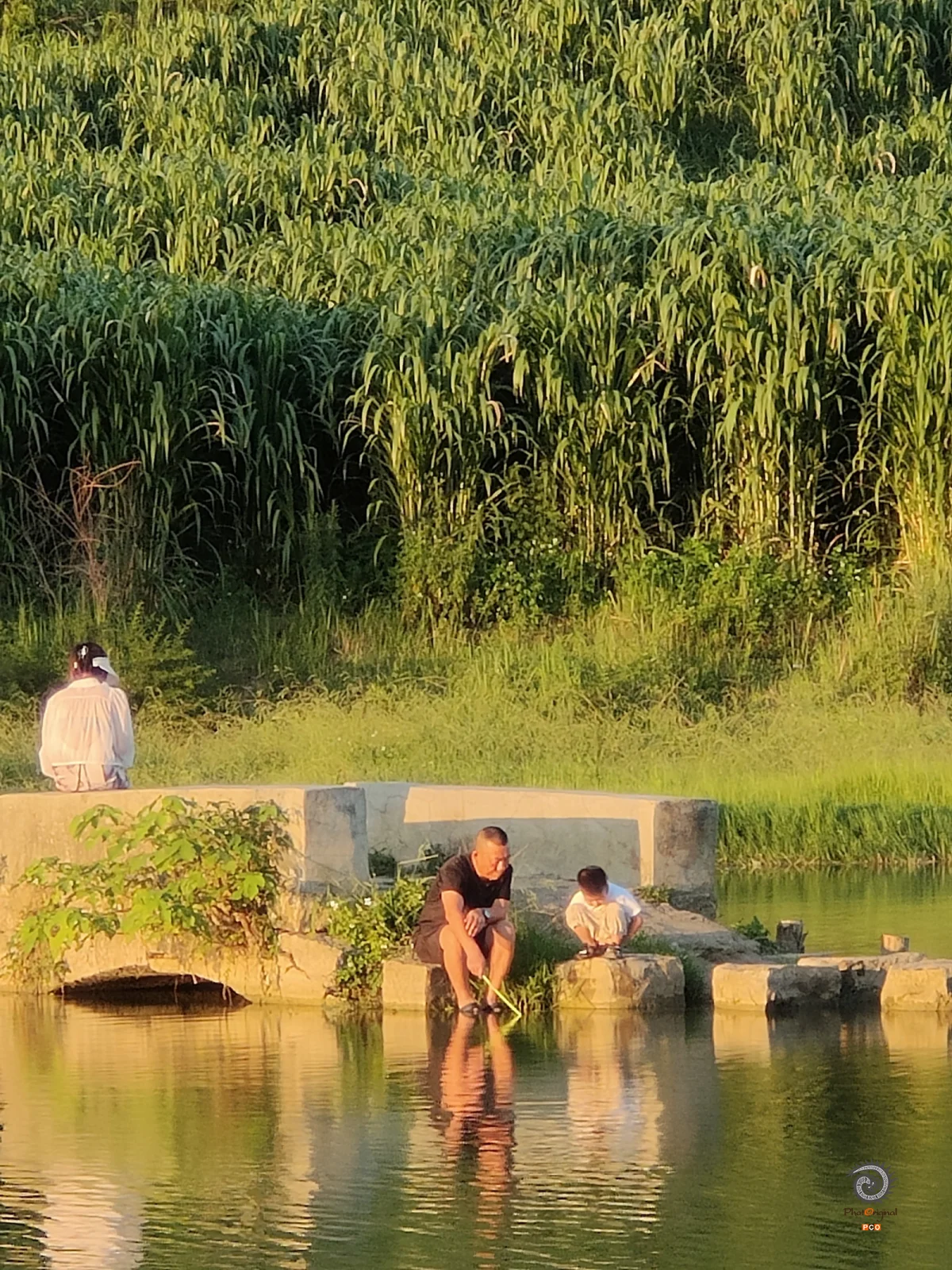 2023多彩贵州·第十六届中国原生态国际摄影大展 · 王雅 的图集