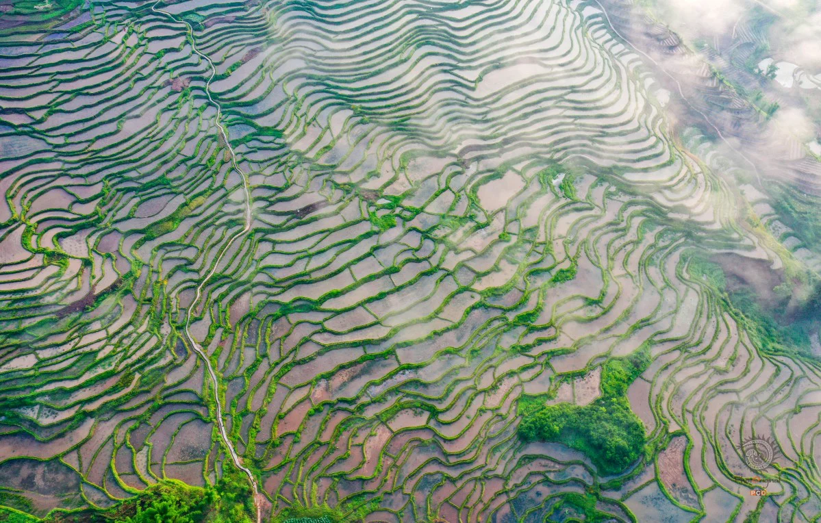 多彩贵州·第十四届中国原生态国际摄影大展 · 普照山 的图集