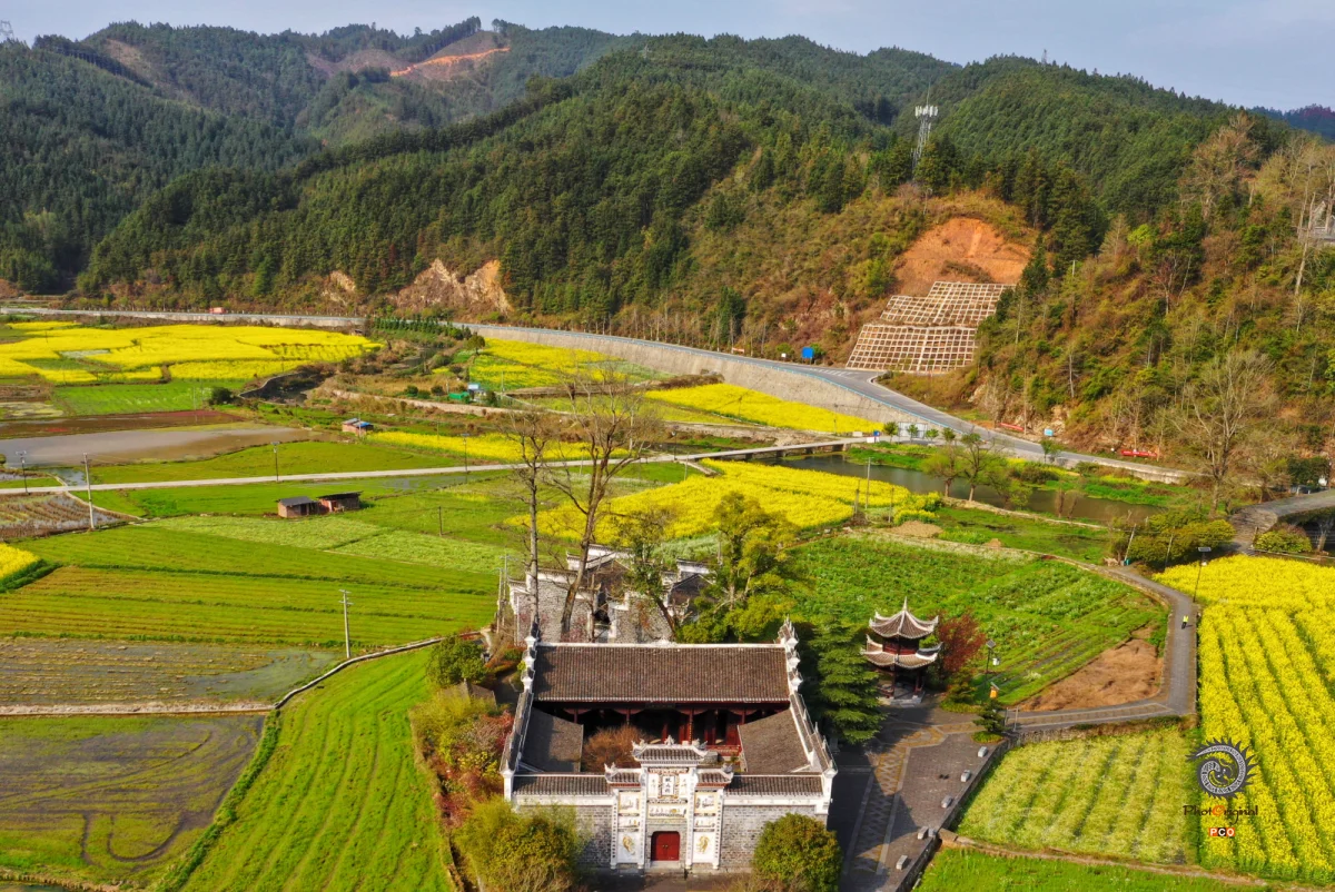 2025多彩贵州·第十八届中国原生态国际摄影大展 · 巴西铁 的图集