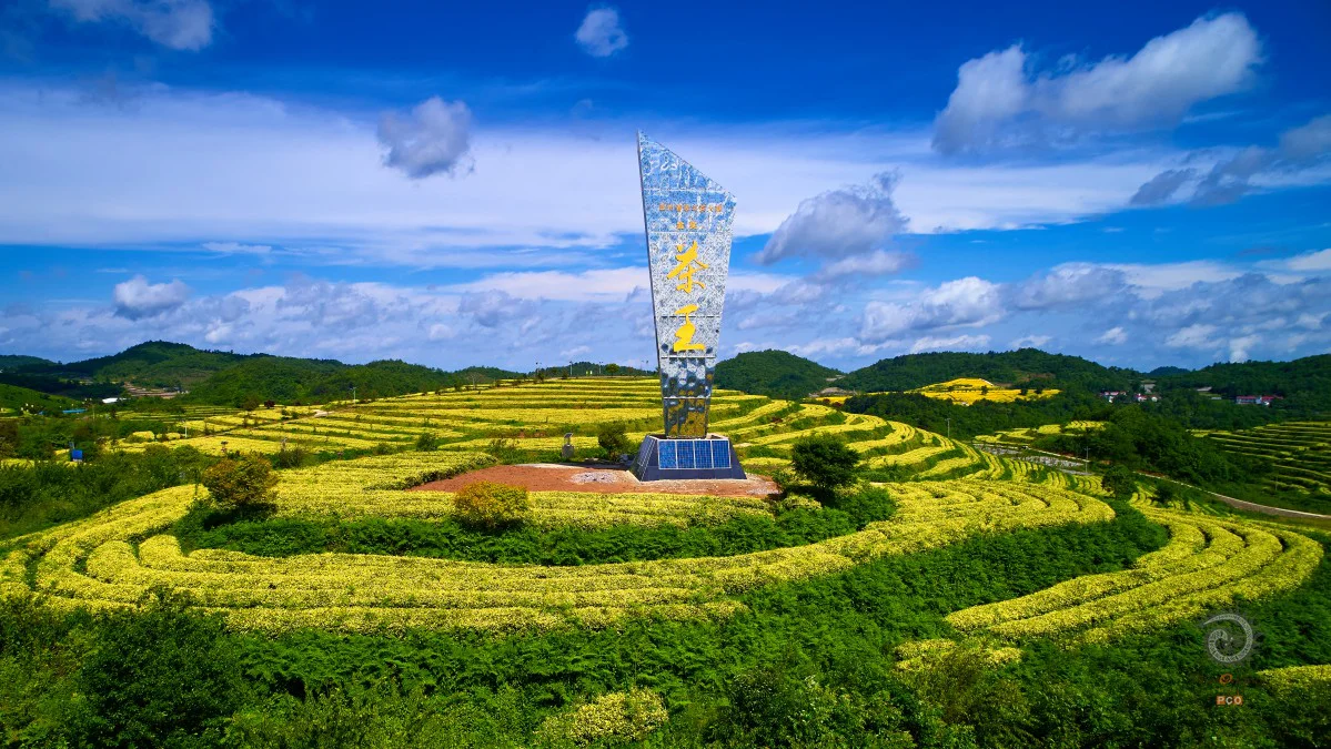 多彩贵州·第十四届中国原生态国际摄影大展 · 健摄者 的图集