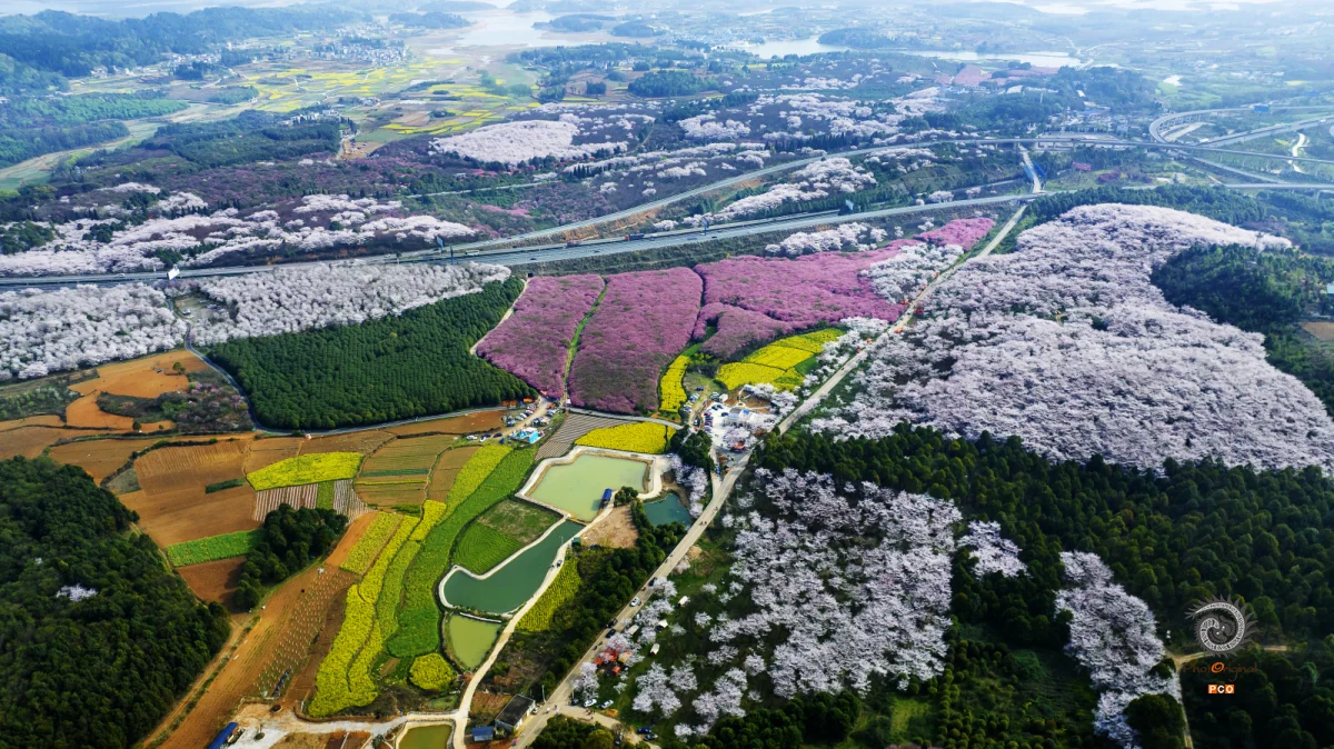 2023多彩贵州·第十六届中国原生态国际摄影大展 · czcylk 的图集