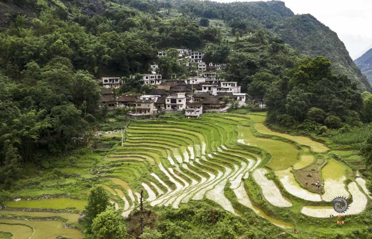 多彩贵州·第十四届中国原生态国际摄影大展 · 董均达 的图集