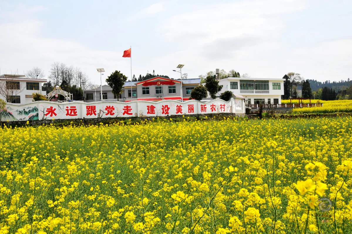 多彩贵州·第十四届中国原生态国际摄影大展 · 行摄天下 的图集