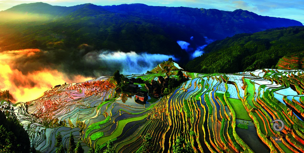 第十五届多彩贵州·中国原生态国际摄影大展 · 摄影大展官方客服 的图集