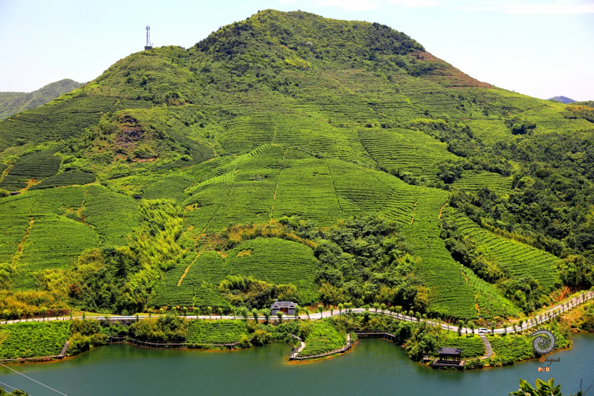 多彩贵州·第十四届中国原生态国际摄影大展 · 何维江 的图集