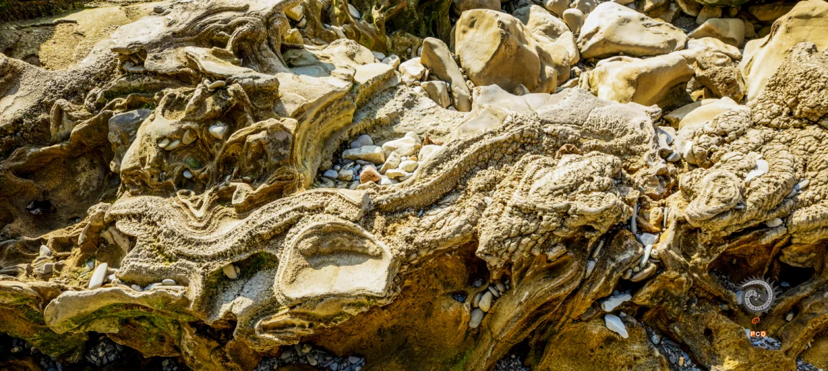 多彩贵州·第十四届中国原生态国际摄影大展 · 难懂的光影 的图集