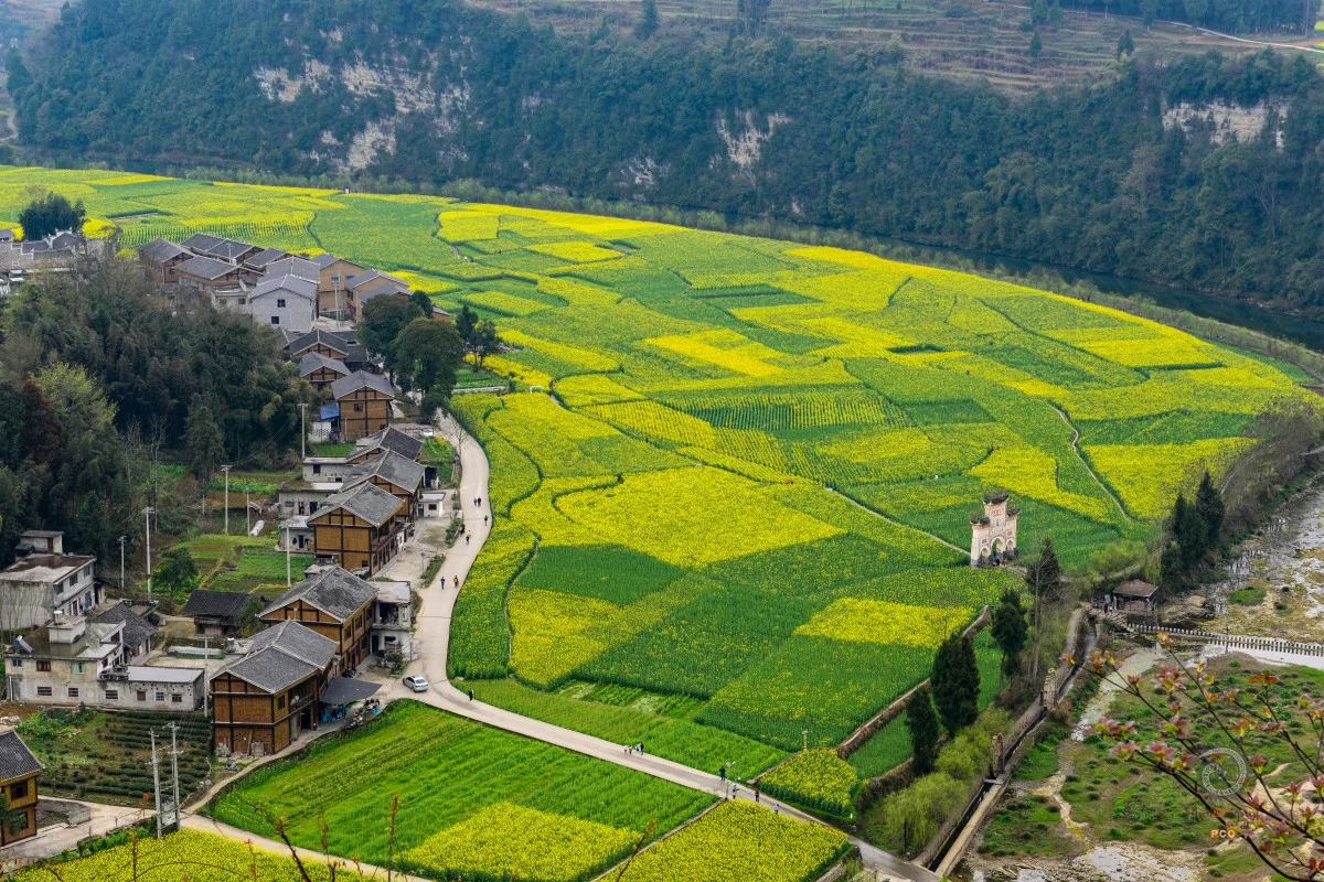 多彩贵州·第十四届中国原生态国际摄影大展 · 红色亚洲 的图集