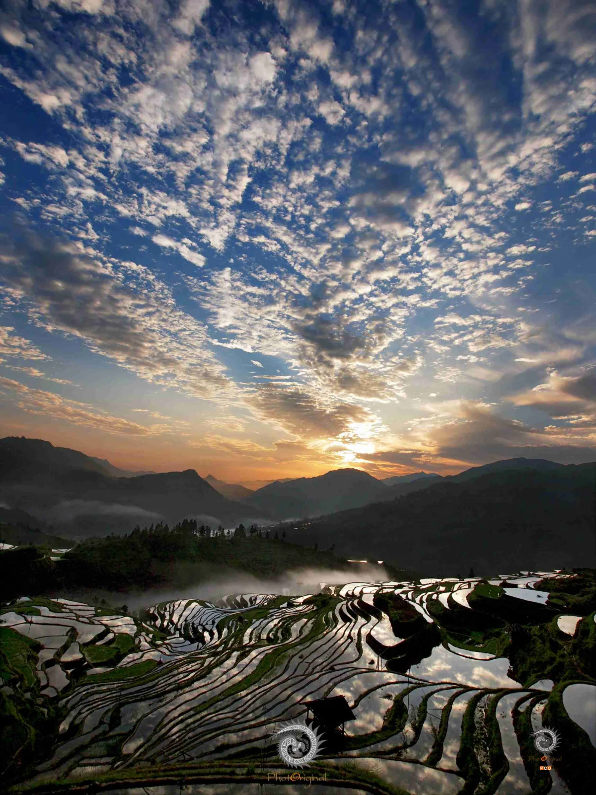 2024多彩贵州·第十七届中国原生态国际摄影大展展览 · 摄影大展官方客服 的图集