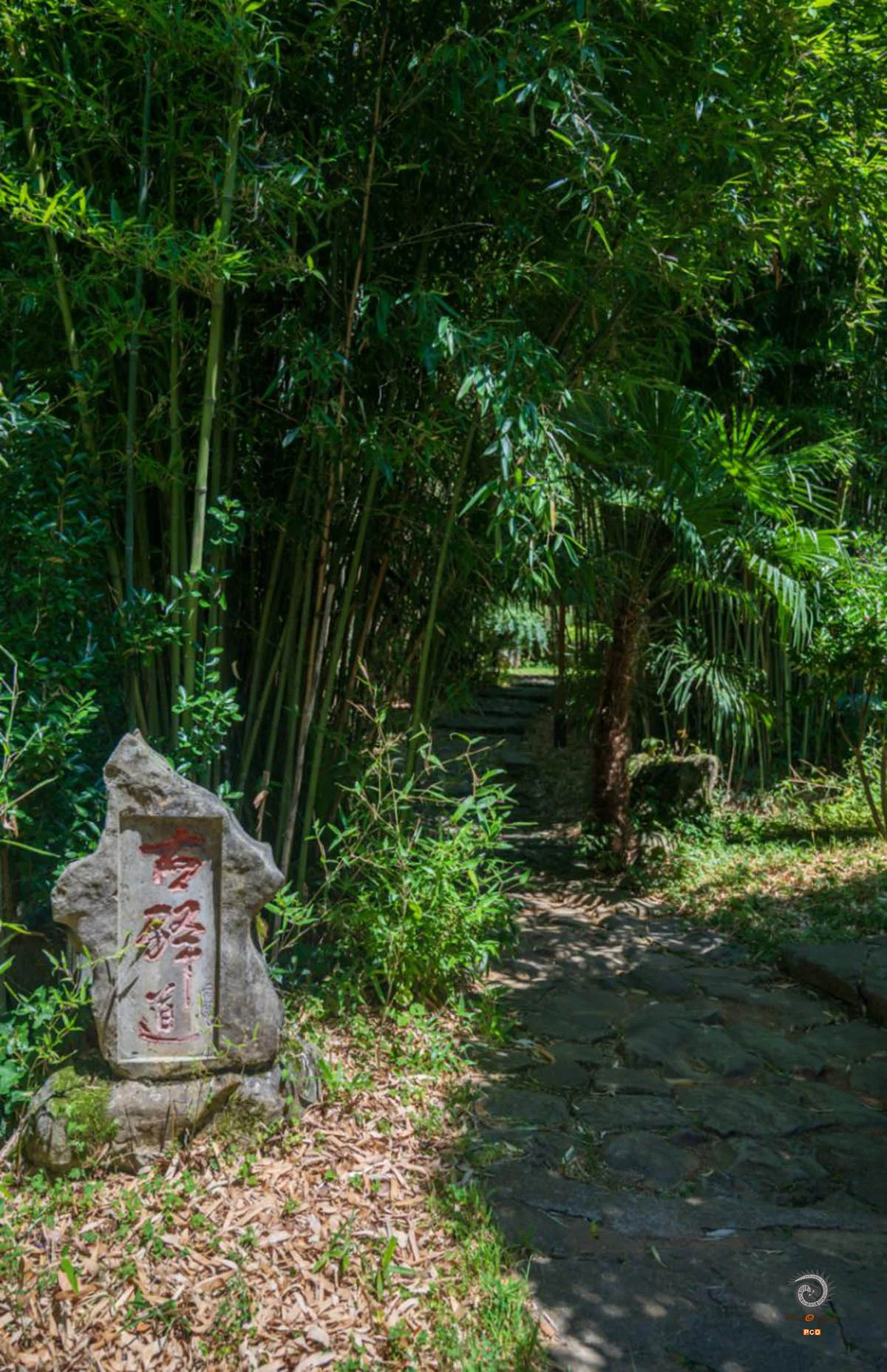 2025多彩贵州·第十八届中国原生态国际摄影大展展览 · 摄影大展官方客服 的图集