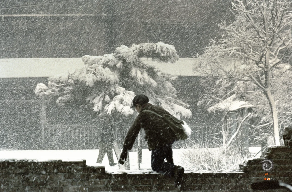 《雪野》