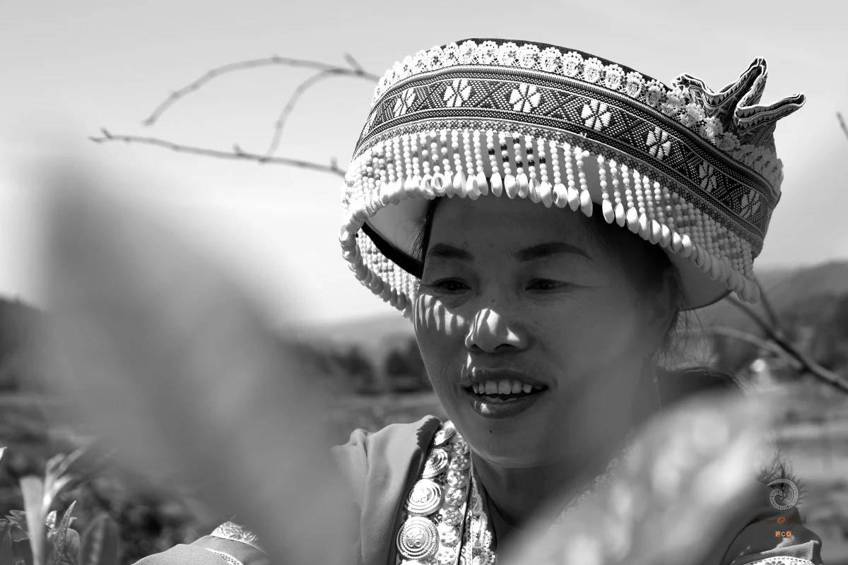 多彩贵州·第十四届中国原生态国际摄影大展 · 刘世扬 的图集