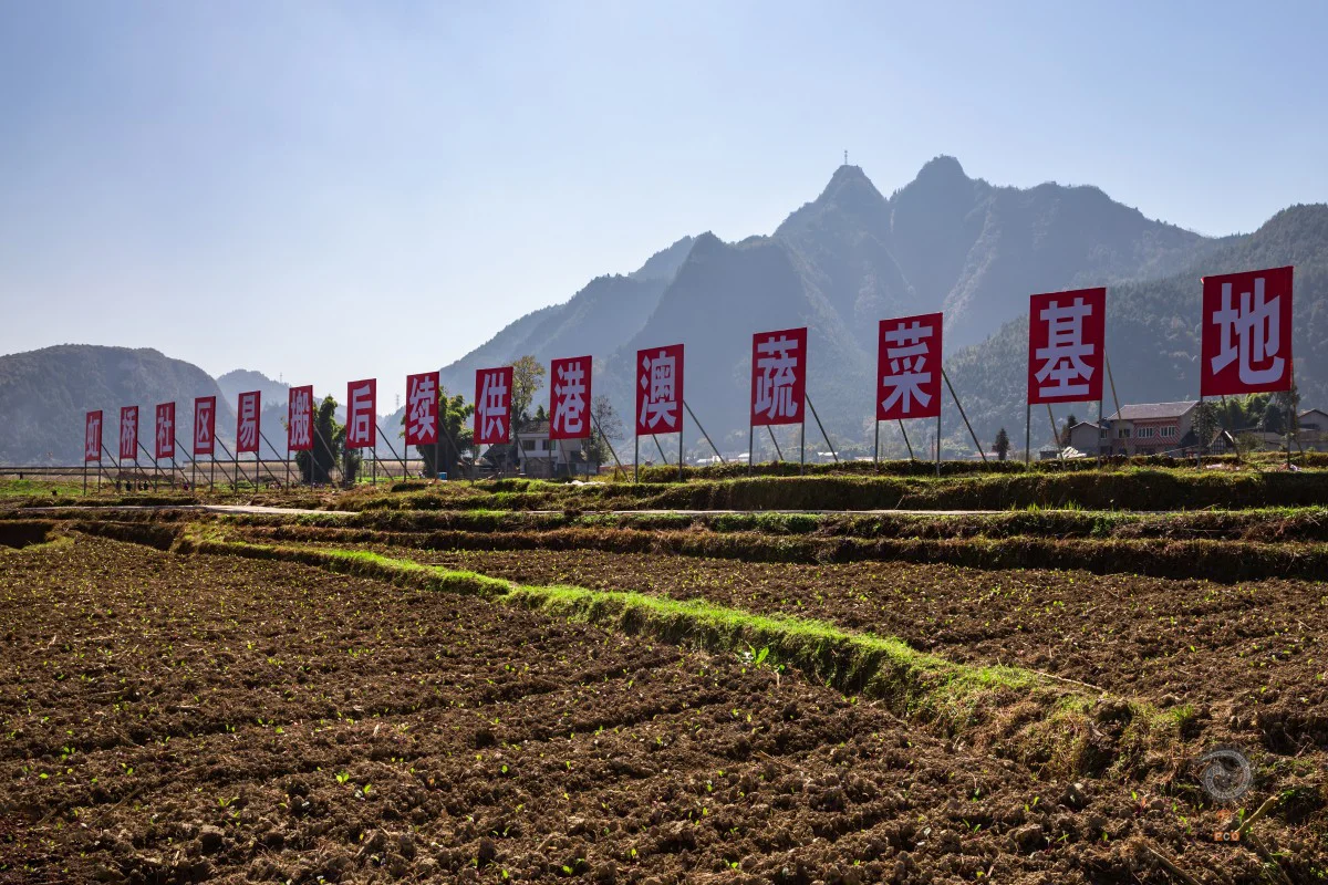 多彩贵州·第十四届中国原生态国际摄影大展 · 光影之旅 的图集