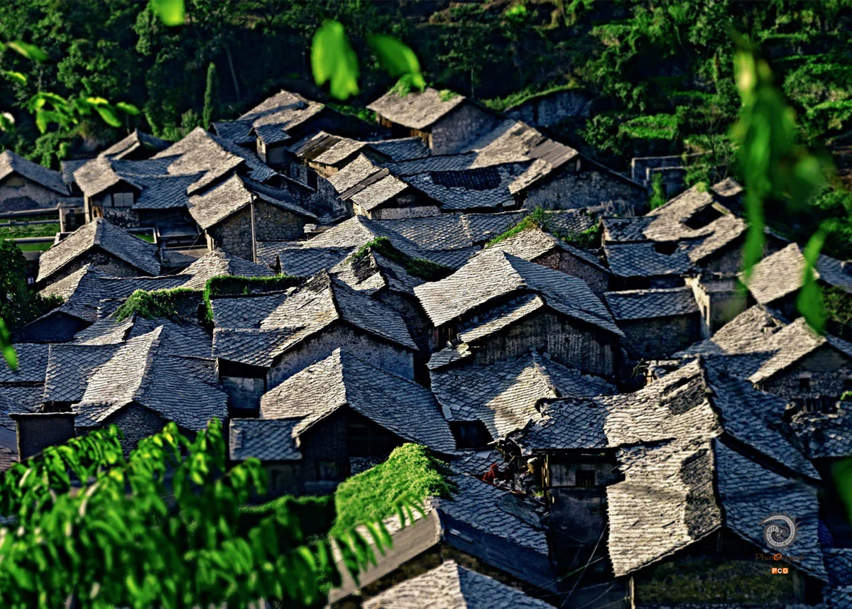 2025多彩贵州·第十八届中国原生态国际摄影大展展览 · 摄影大展官方客服 的图集