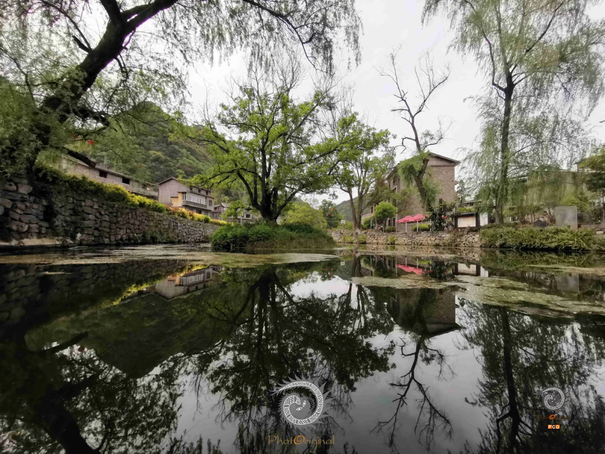 2024多彩贵州·第十七届中国原生态国际摄影大展展览 · 摄影大展官方客服 的图集