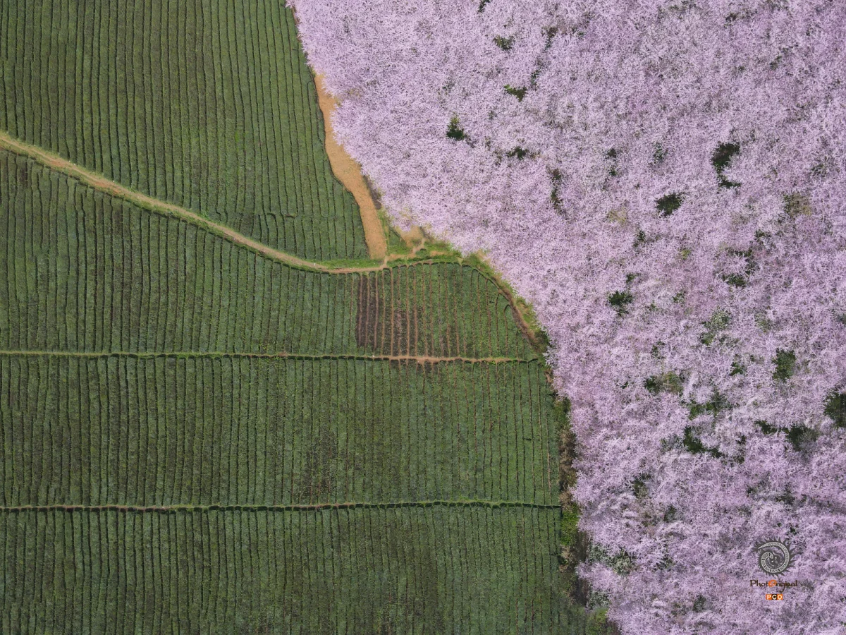 第十五届多彩贵州·中国原生态国际摄影大展·”空中瞰贵州”主题征稿 · 牧渔 的图集