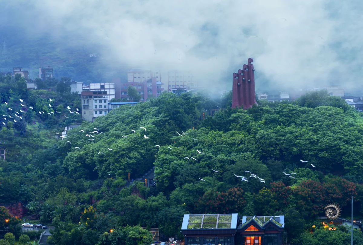 仁怀市茅台镇赤水河上游