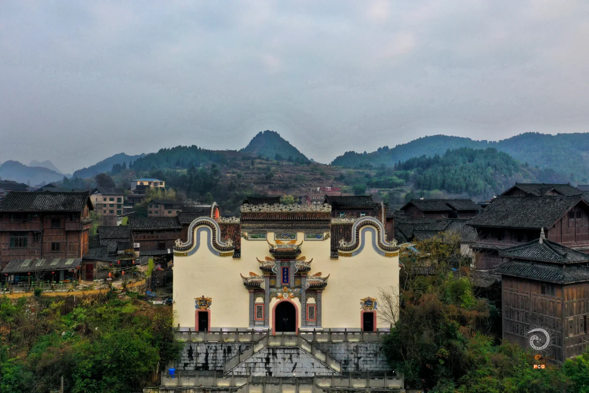 2025多彩贵州·第十八届中国原生态国际摄影大展 · 巴西铁 的图集