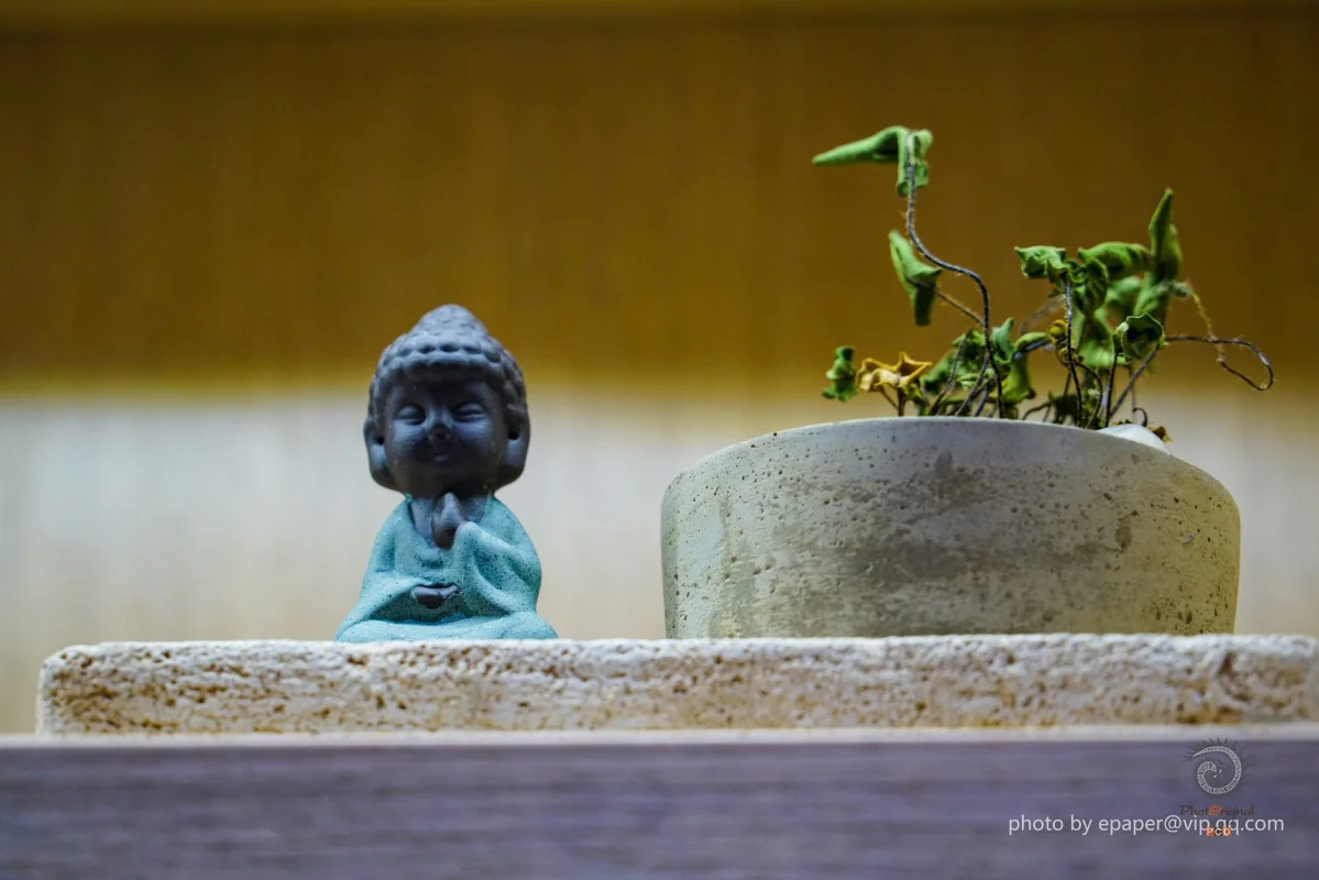 多彩贵州·第十四届中国原生态国际摄影大展 · 一米天涯 的图集