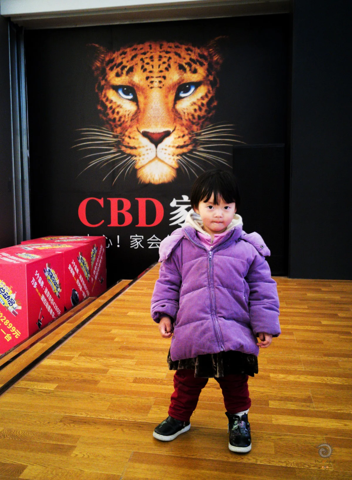 多彩贵州·第十四届中国原生态国际摄影大展 · 草根雷 的图集