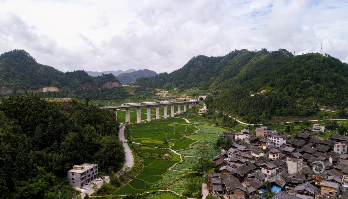 2023多彩贵州·第十六届中国原生态国际摄影大展 · 独立寒秋 的图集