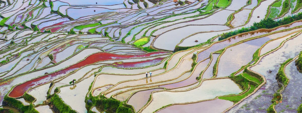多彩贵州·第十四届中国原生态国际摄影大展 · bocwq0604 的图集