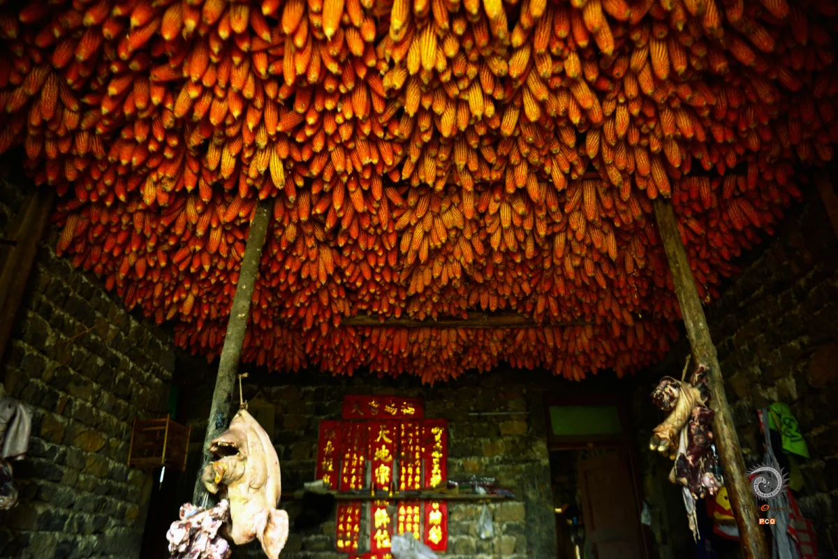 多彩贵州·第十四届中国原生态国际摄影大展 · 不堪回首 的图集