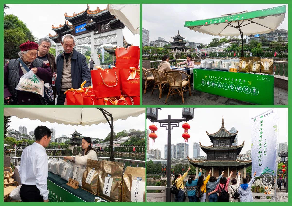 多彩贵州·第十四届中国原生态国际摄影大展 · xqy5778 的图集