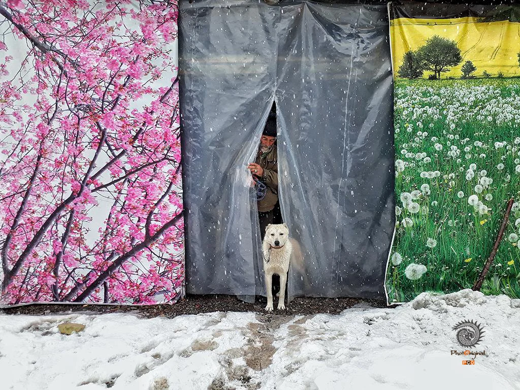 第十五届多彩贵州·中国原生态国际摄影大展 · 摄影大展官方客服 的图集