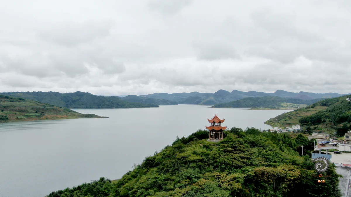 多彩贵州·第十四届中国原生态国际摄影大展 · 流浪枫叶 的图集