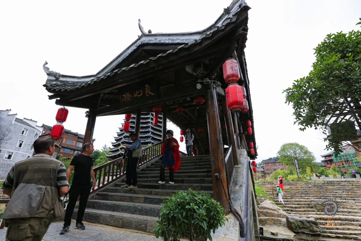 2023多彩贵州·第十六届中国原生态国际摄影大展 · 独立寒秋 的图集