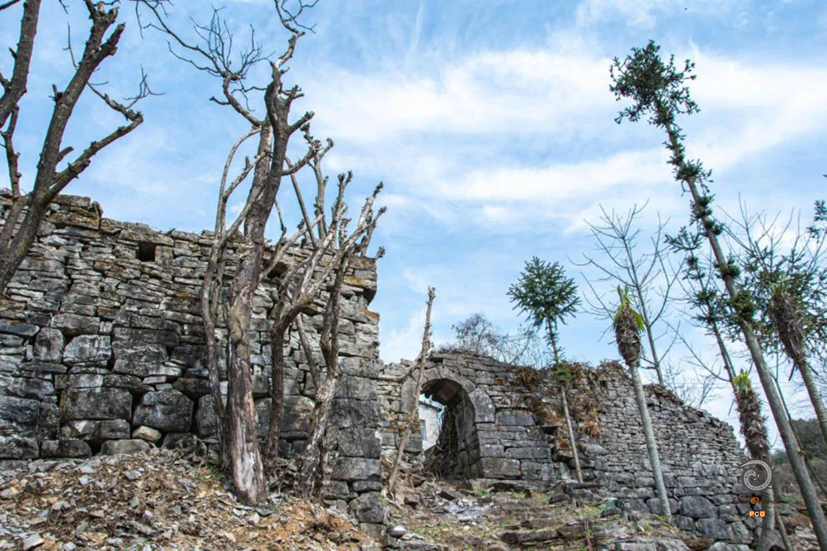 2025多彩贵州·第十八届中国原生态国际摄影大展展览 · 摄影大展官方客服 的图集