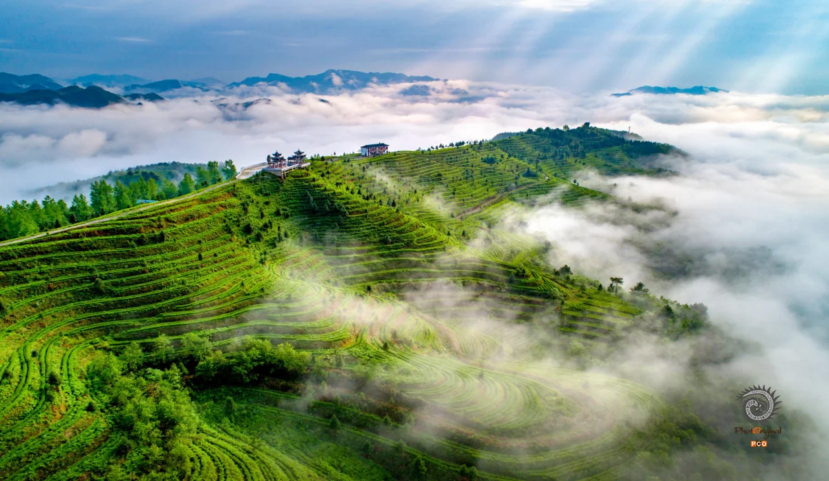 《螺丝壳茶山》