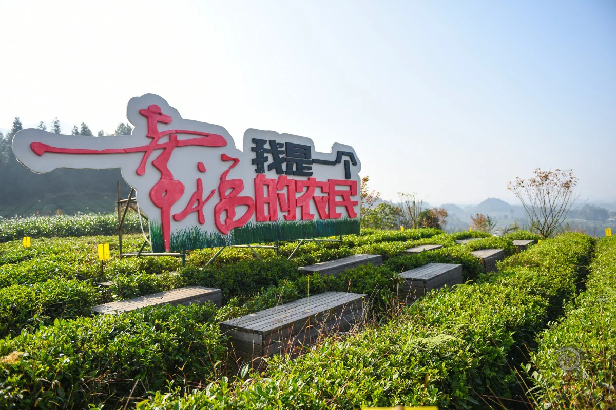 多彩贵州·第十四届中国原生态国际摄影大展 · 傅彧 的图集