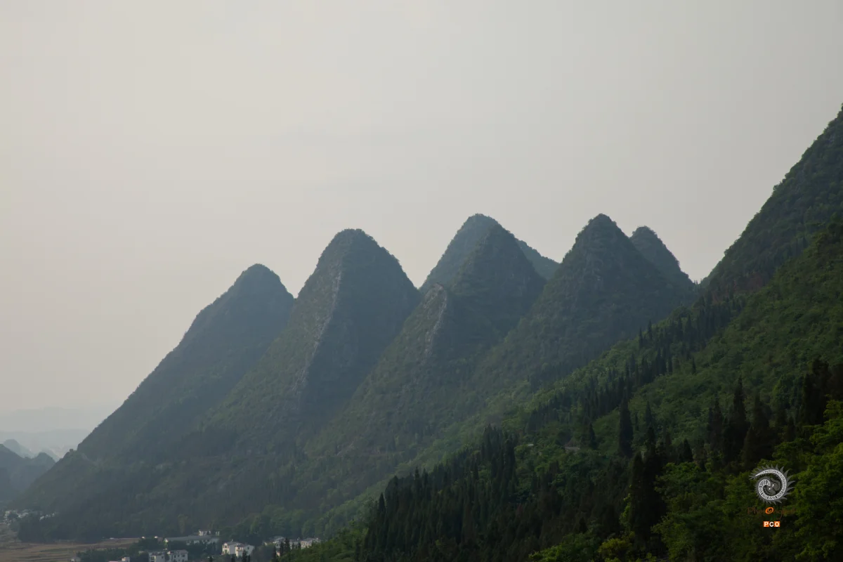 2025多彩贵州·第十八届中国原生态国际摄影大展 · 念念 的图集