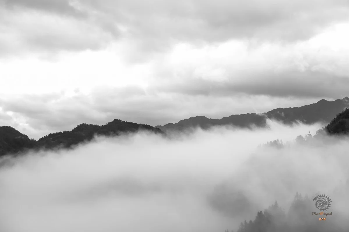 多彩贵州·第十四届中国原生态国际摄影大展 · 杨明亮 的图集