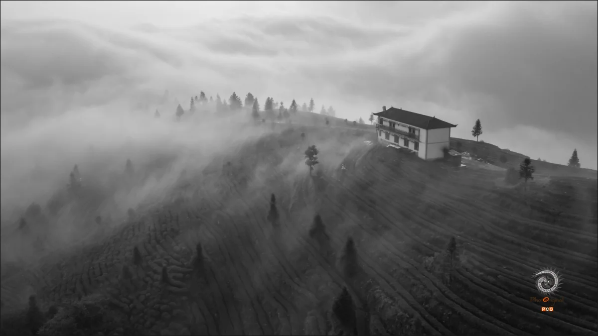 多彩贵州·第十四届中国原生态国际摄影大展 · 王德仙 的图集
