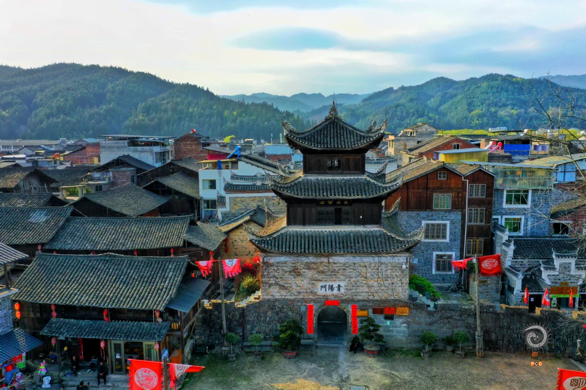 2025多彩贵州·第十八届中国原生态国际摄影大展 · 巴西铁 的图集