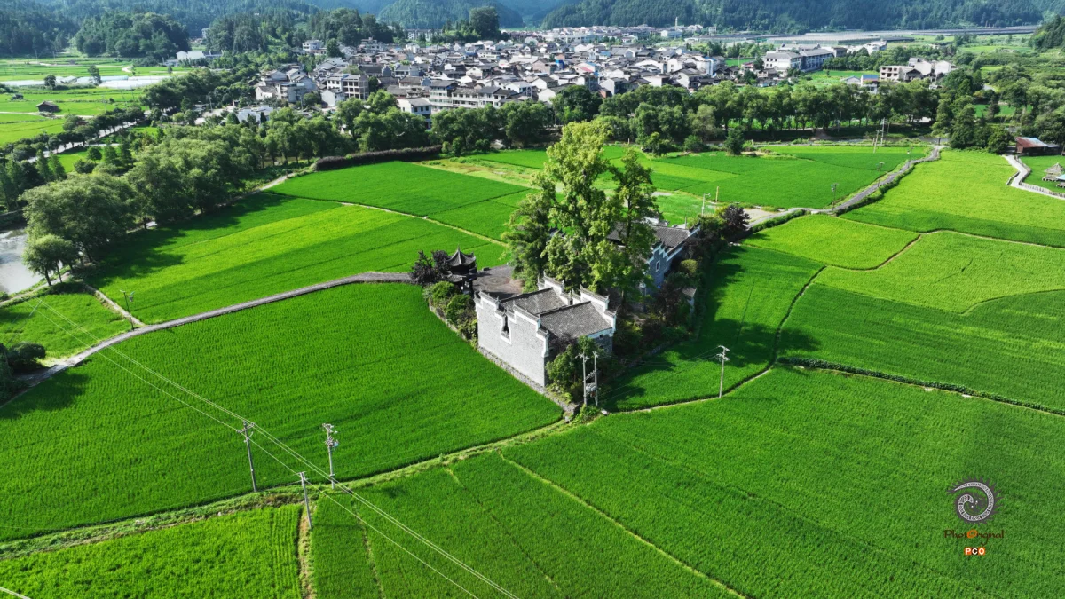 2025多彩贵州·第十八届中国原生态国际摄影大展 · 杨晓海 的图集
