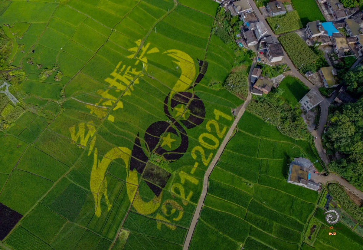 多彩贵州·第十四届中国原生态国际摄影大展 · 木北 的图集